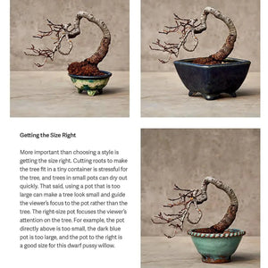Cover of The Little Book of Bonsai by Jonas Dupuich with bonsai tree illustration
